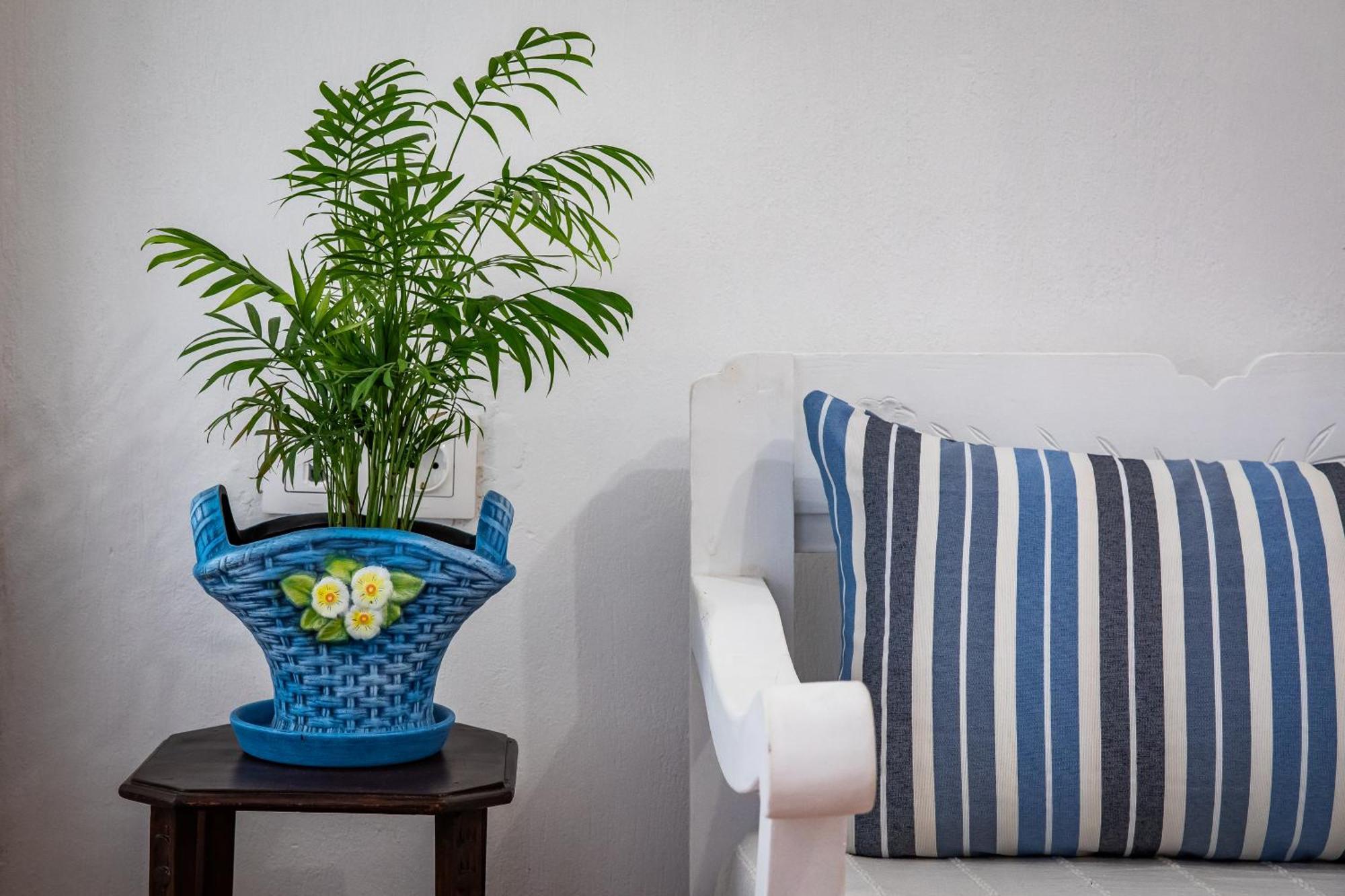 Apartament Aikaterini'S House Skopelos Zewnętrze zdjęcie